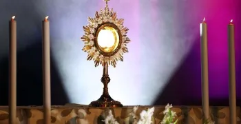 la-arquidiocesis-de-owerri-organiza-una-semana-de-oracion-tras-el-robo-del-santisimo