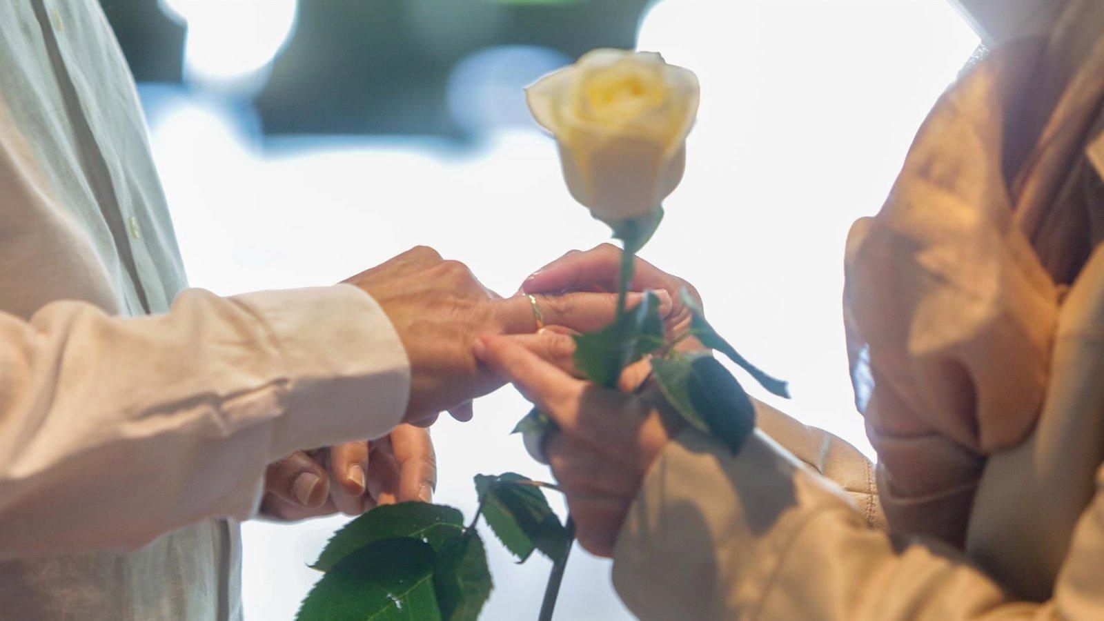 León XIV frena el plan alemán de bendiciones para parejas del mismo sexo León XIV frena el plan alemán de bendiciones para parejas del mismo sexo